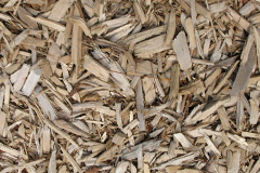 biomass boilers Myerscough